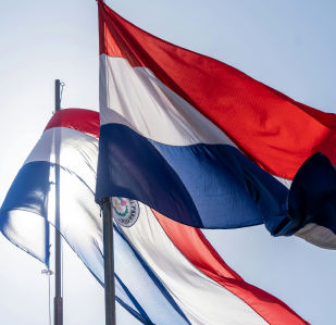Bandera del Paraguay